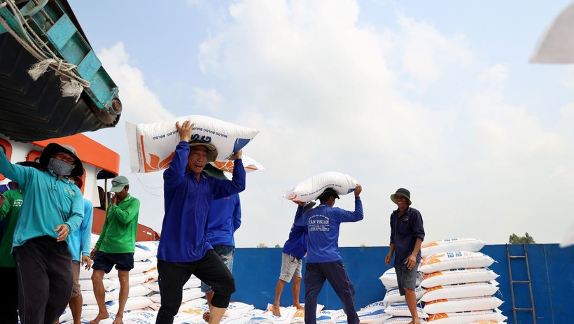 Việt Nam dự kiến c&oacute; 7,73 triệu tấn gạo h&agrave;ng h&oacute;a cho xuất khẩu năm 2026