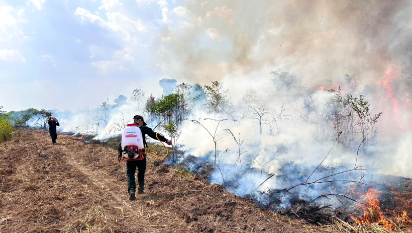 Vườn Quốc gia L&ograve; G&ograve; &ndash; Xa M&aacute;t: Diễn tập, thực h&agrave;nh phương &aacute;n chữa ch&aacute;y rừng