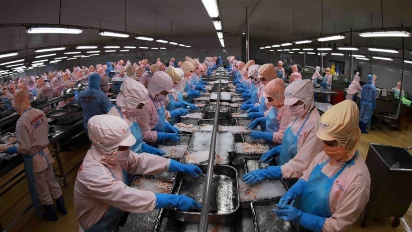 Vietnam remains Singapore&rsquo;s third-largest seafood supplier in 2025