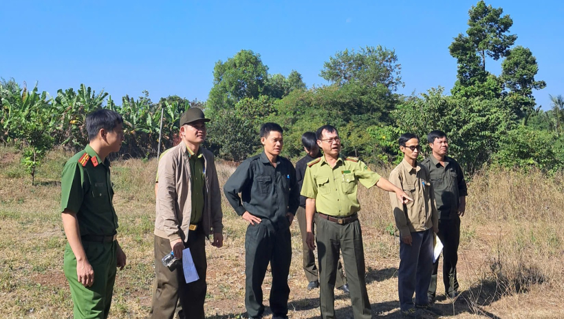 Tăng cường c&ocirc;ng t&aacute;c ph&ograve;ng ch&aacute;y, chữa ch&aacute;y rừng m&ugrave;a kh&ocirc; 2025&ndash;2026