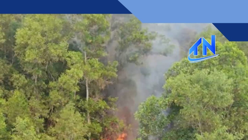 T&acirc;y Ninh: Ch&aacute;y rừng tr&agrave;m tại x&atilde; B&igrave;nh Th&agrave;nh, thiệt hại khoảng 1,5ha