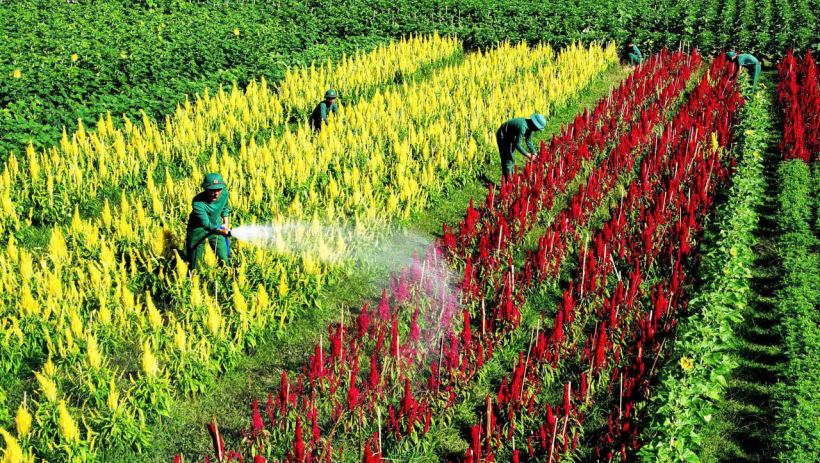 Trung đo&agrave;n 4: Sẵn s&agrave;ng bước v&agrave;o m&ugrave;a huấn luyện mới