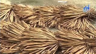 T&acirc;y Ninh hỗ trợ học nghề hơn 3,5 tỷ đồng cho người lao động