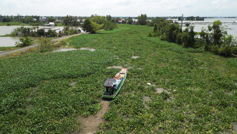 Lục b&igrave;nh - vấn nạn hay t&agrave;i nguy&ecirc;n chưa được khai th&aacute;c?: 'Nỗi đau' tr&ecirc;n&nbsp;những d&ograve;ng s&ocirc;ng (B&agrave;i 1)