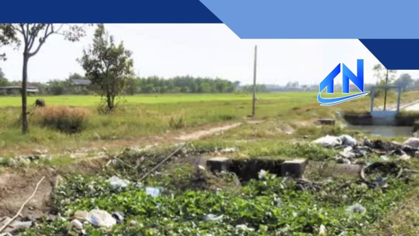 K&ecirc;nh tưới 'nghẹt thở' v&igrave; r&aacute;c