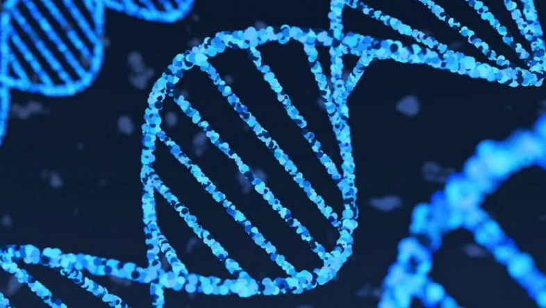 Google ra mắt c&ocirc;ng cụ AI gi&uacute;p giải m&atilde; những b&iacute; ẩn của bộ gene người