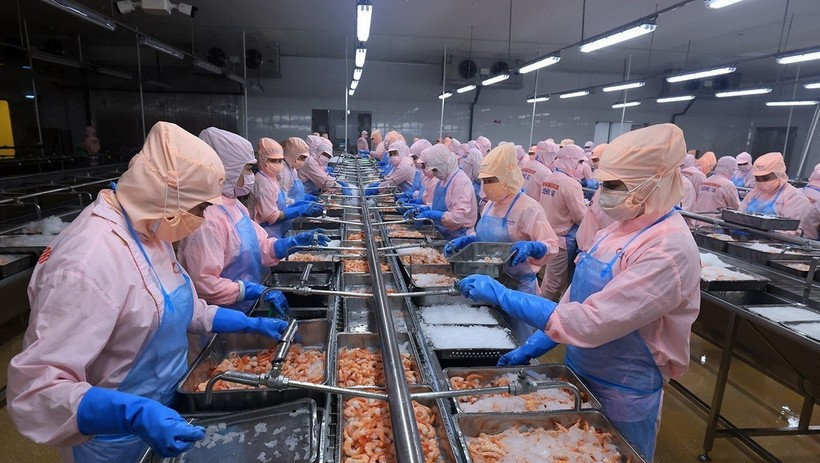 Lực đẩy mới cho ph&aacute;t triển kinh tế tư nh&acirc;n Đồng bằng s&ocirc;ng Cửu Long