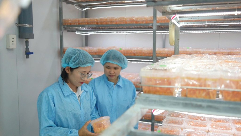 Mỗi chu kỳ, đơn vị sản xuất khoảng 100.000 hộp sản phẩm tươi