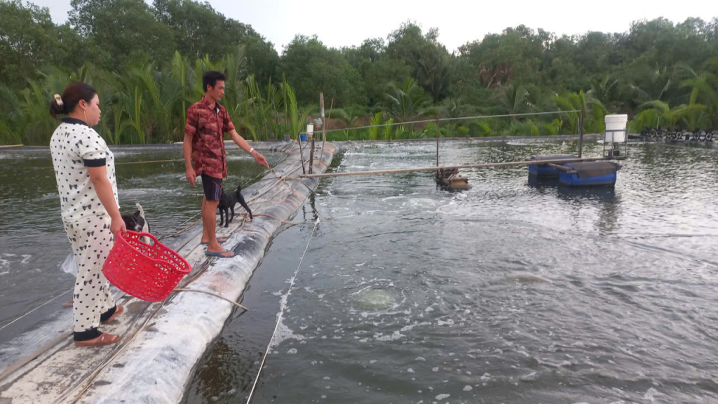 Chủ động phòng, chống dịch bệnh trên thủy sản nuôi