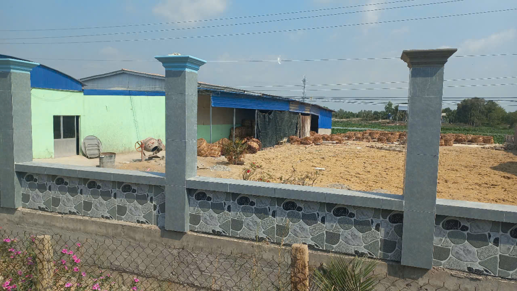 Người dân phản ánh, cơ sở thu, mua lục bình dùng hóa chất xử lý lục bình ảnh hưởng đến sức khỏe, sản xuất của người dân trong khu vực