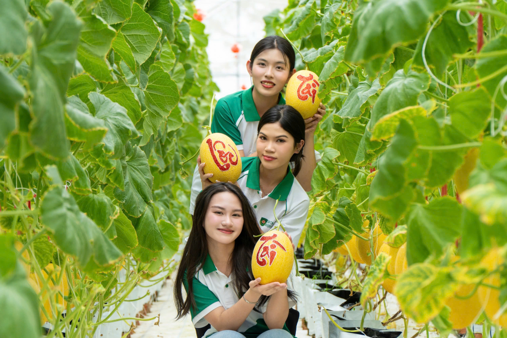 Khách tham quan, checkin tại vườn dưa