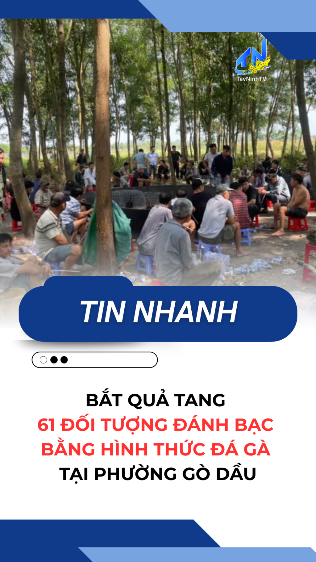 Bắt quả tang 61 đối tượng đ&aacute;nh bạc bằng h&igrave;nh thức đ&aacute; g&agrave; tại phường G&ograve; Dầu