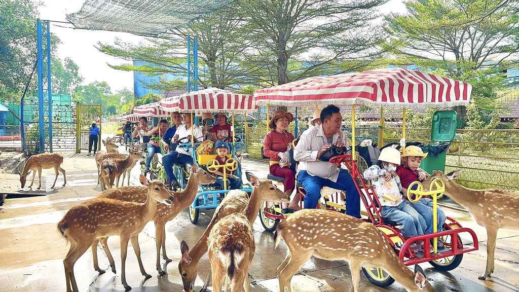 Vườn thú Mỹ Quỳnh thu hút phân khúc khách gia đình dịp tết - Ảnh: Mỹ Quỳnh Safari