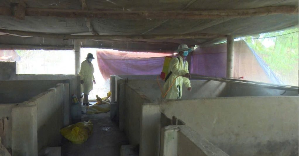 Tiêu độc, khử trùng khu vực chăn nuôi