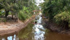 X&acirc;m nhập mặn gia tăng ở miền T&acirc;y đầu th&aacute;ng 2 v&agrave; Tết Nguy&ecirc;n đ&aacute;n