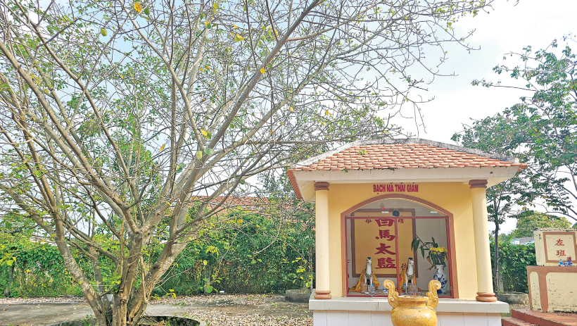 Ngựa trắng - Dấu gạch nối trong hành trình mở cõi