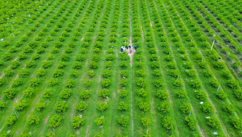 N&ocirc;ng nghiệp bứt ph&aacute;, hội nhập v&agrave; ph&aacute;t triển 