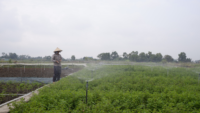 Sản xuất xanh - H&agrave;nh tr&igrave;nh bền vững cho n&ocirc;ng nghiệp 