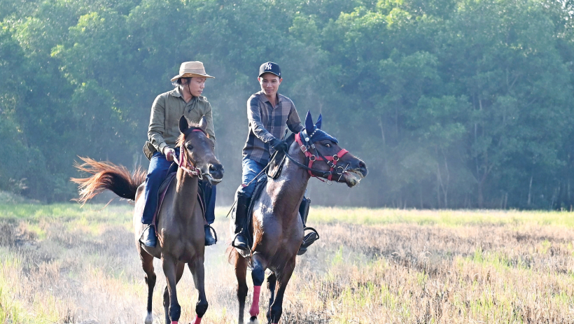 Nghề nu&ocirc;i ngựa xưa & nay ở T&acirc;y Ninh 