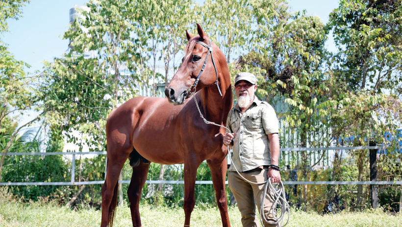 Về Đức H&ograve;a nhớ nghề nu&ocirc;i ngựa đua 