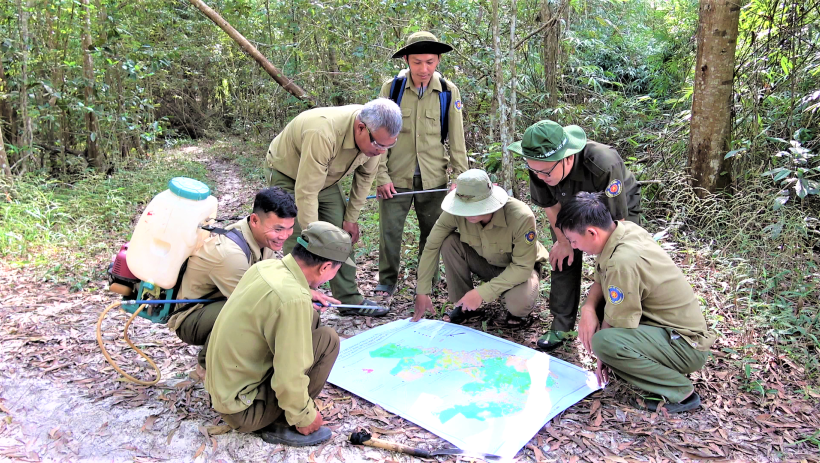 Giữ xanh đại ng&agrave;n 
