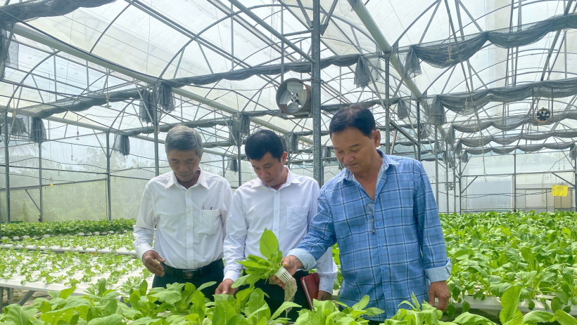 T&acirc;y Ninh: Phấn đấu ph&aacute;t triển 19.000ha rau an to&agrave;n đến năm 2030