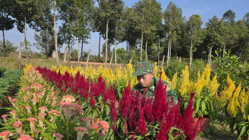 Rộn r&agrave;ng sắc xu&acirc;n nơi tuyến đầu Tổ quốc