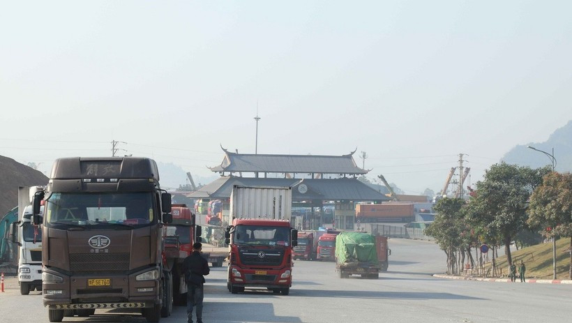 Bộ N&ocirc;ng nghiệp v&agrave; M&ocirc;i trường lập đường d&acirc;y n&oacute;ng giải đ&aacute;p vướng mắc Nghị định 46/CP