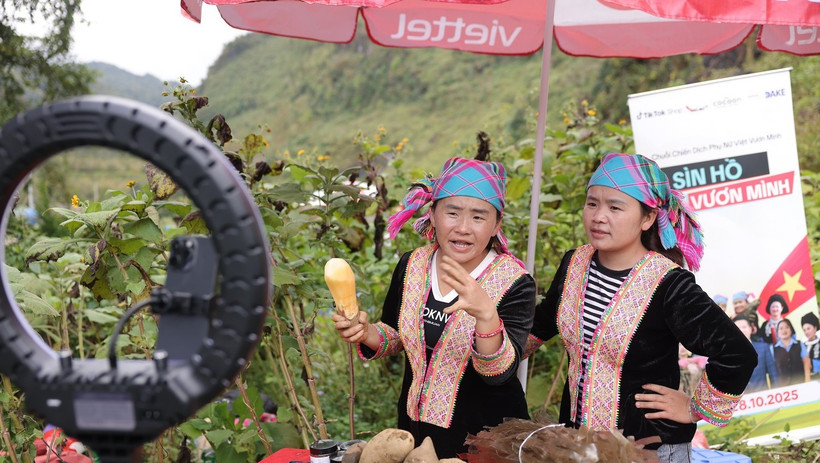 Nền kinh tế s&aacute;ng tạo của Việt Nam được dự b&aacute;o sẽ đạt 95 tỷ v&agrave;o năm 2030