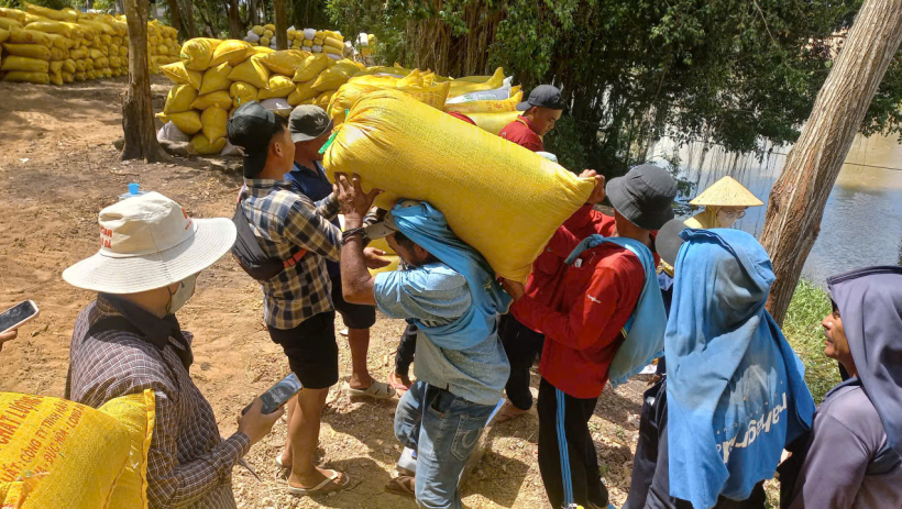 Gi&aacute; l&uacute;a Đ&ocirc;ng Xu&acirc;n 2025-2026 tăng nhẹ