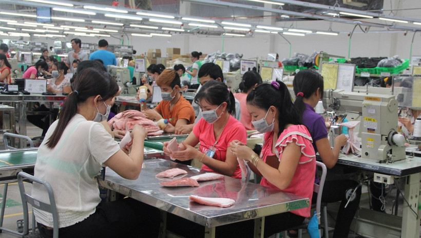 Cục Thống k&ecirc;: Gần 24,2 ngh&igrave;n doanh nghiệp th&agrave;nh lập mới trong th&aacute;ng Một