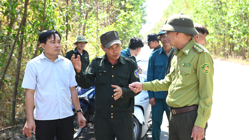 Rừng v&agrave;o m&ugrave;a dễ ch&aacute;y