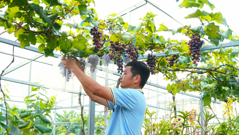 Thanh ni&ecirc;n tận dụng nền tảng số để khởi nghiệp