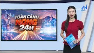 Triệt ph&aacute; đường d&acirc;y c&aacute; độ b&oacute;ng đ&aacute; 900 tỷ đồng