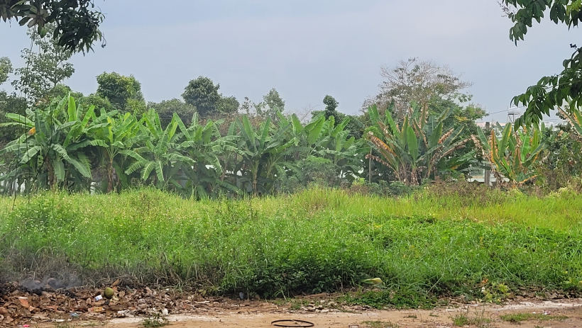 Thu hồi gần 6.000m&sup2; đất dự &aacute;n chậm triển khai tại phường Long An