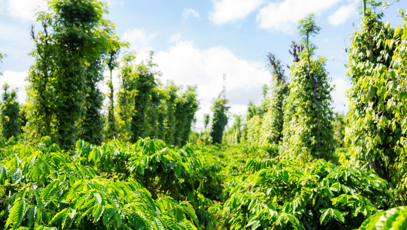 Bộ T&agrave;i ch&iacute;nh th&ocirc;ng tin một số ch&iacute;nh s&aacute;ch mới về tiền sử dụng đất năm 2026