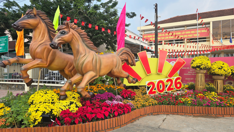 Phố phường rực rỡ đ&oacute;n xu&acirc;n