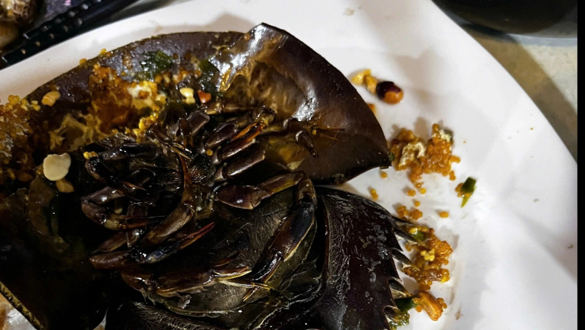 C&agrave; Mau: 3 ca nhập viện nghi ngộ độc, một qu&aacute;n ốc bị tạm dừng hoạt động