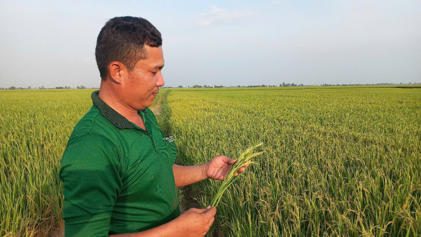 N&ocirc;ng d&acirc;n vui xu&acirc;n kh&ocirc;ng qu&ecirc;n đồng ruộng