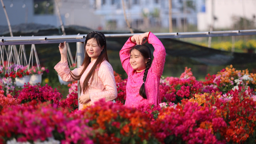 &Aacute;o d&agrave;i - 'nhan sắc' kh&ocirc;ng tuổi cho ng&agrave;y tết