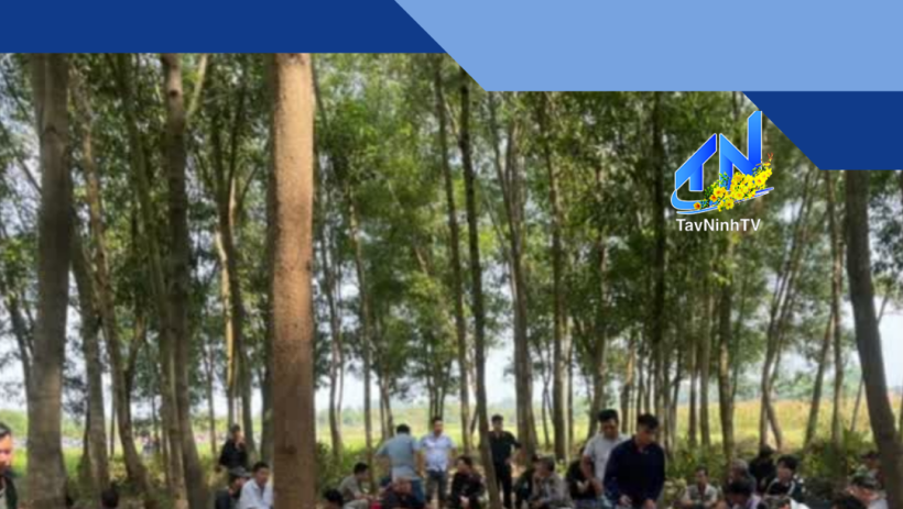 Bắt quả tang 61 đối tượng đ&aacute;nh bạc bằng h&igrave;nh thức đ&aacute; g&agrave; tại phường G&ograve; Dầu