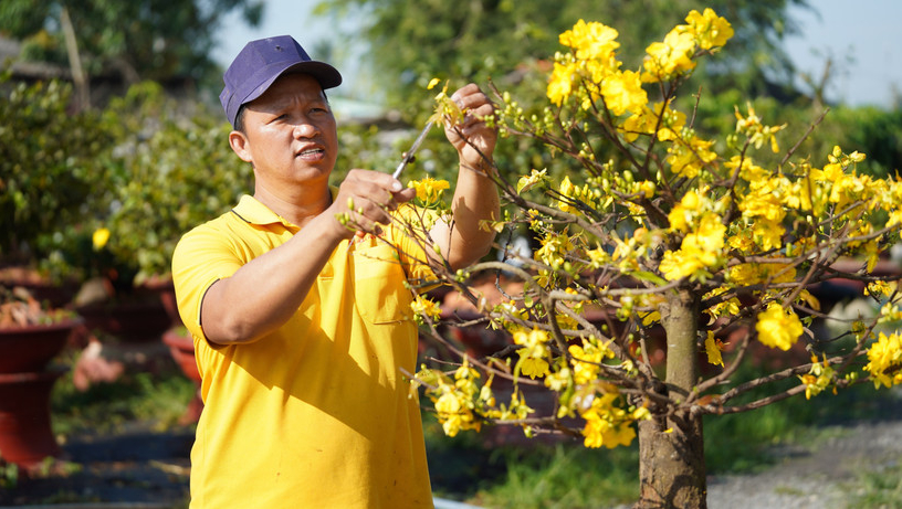 Thời tiết ng&agrave;y m&ugrave;ng 5 Tết: Miền Nam c&oacute; nơi n&oacute;ng hơn 35&deg;C