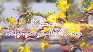 Điểm hẹn những người y&ecirc;u mai v&agrave;ng