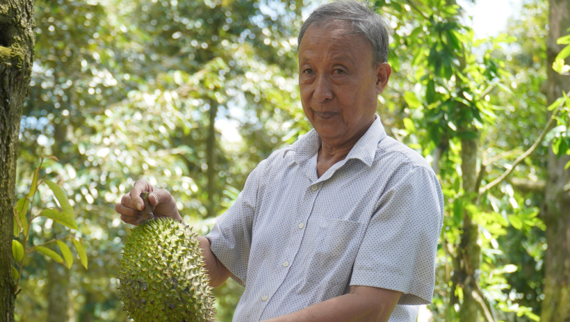 Sầu ri&ecirc;ng miền T&acirc;y l&ecirc;n 140.000 đồng/kg, nh&agrave; vườn phấn khởi đầu năm