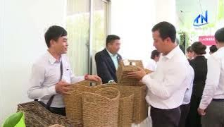 T&acirc;y Ninh: T&iacute;n hiệu khởi sắc trong ph&aacute;t triển doanh nghiệp