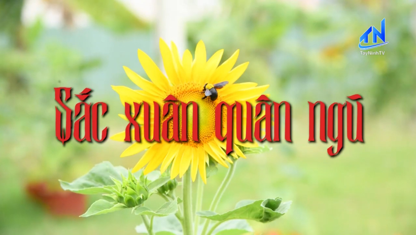 Sắc Xu&acirc;n qu&acirc;n ngũ