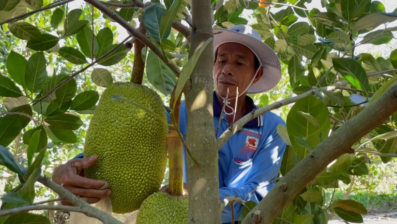 Nhiều mặt h&agrave;ng n&ocirc;ng sản chủ lực tăng gi&aacute;