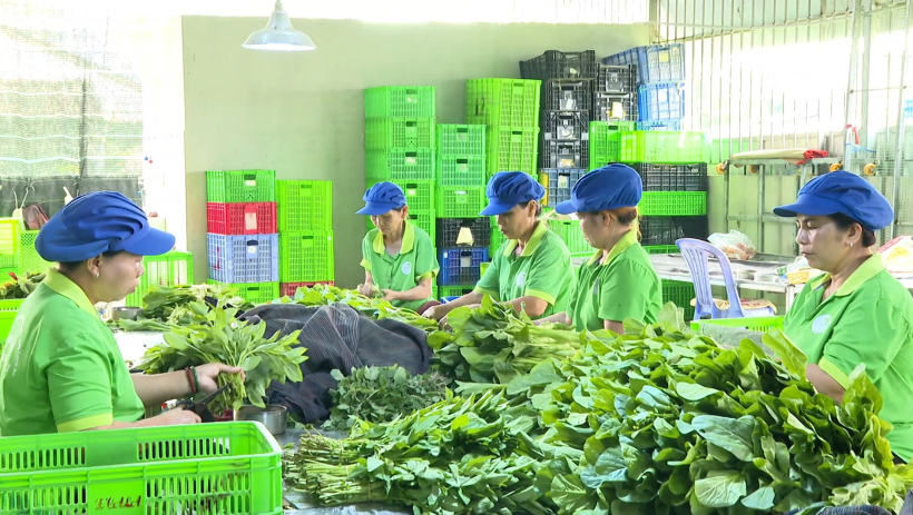 Chuẩn bị n&ocirc;ng sản phục vụ Rằm th&aacute;ng Gi&ecirc;ng