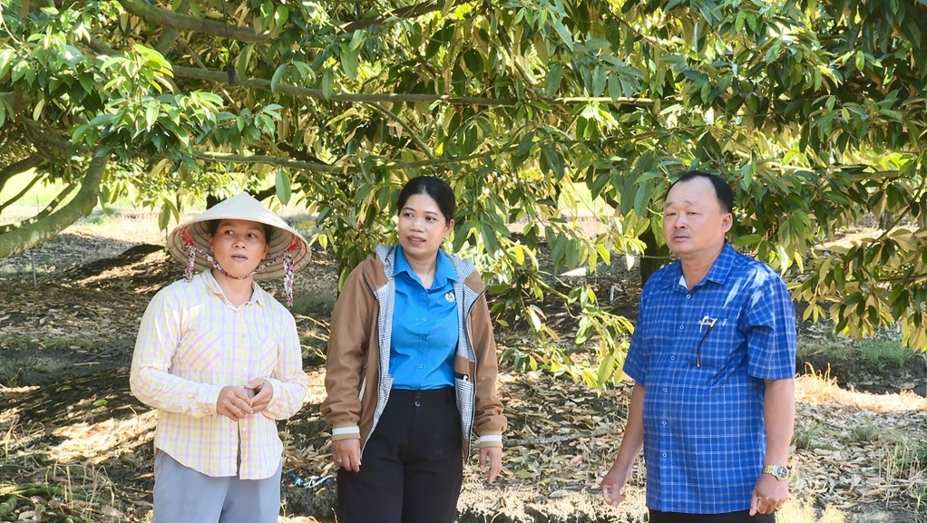 79WIN-Từ nghị quyết đến những c&aacute;nh đồng ứng dụng c&ocirc;ng nghệ cao