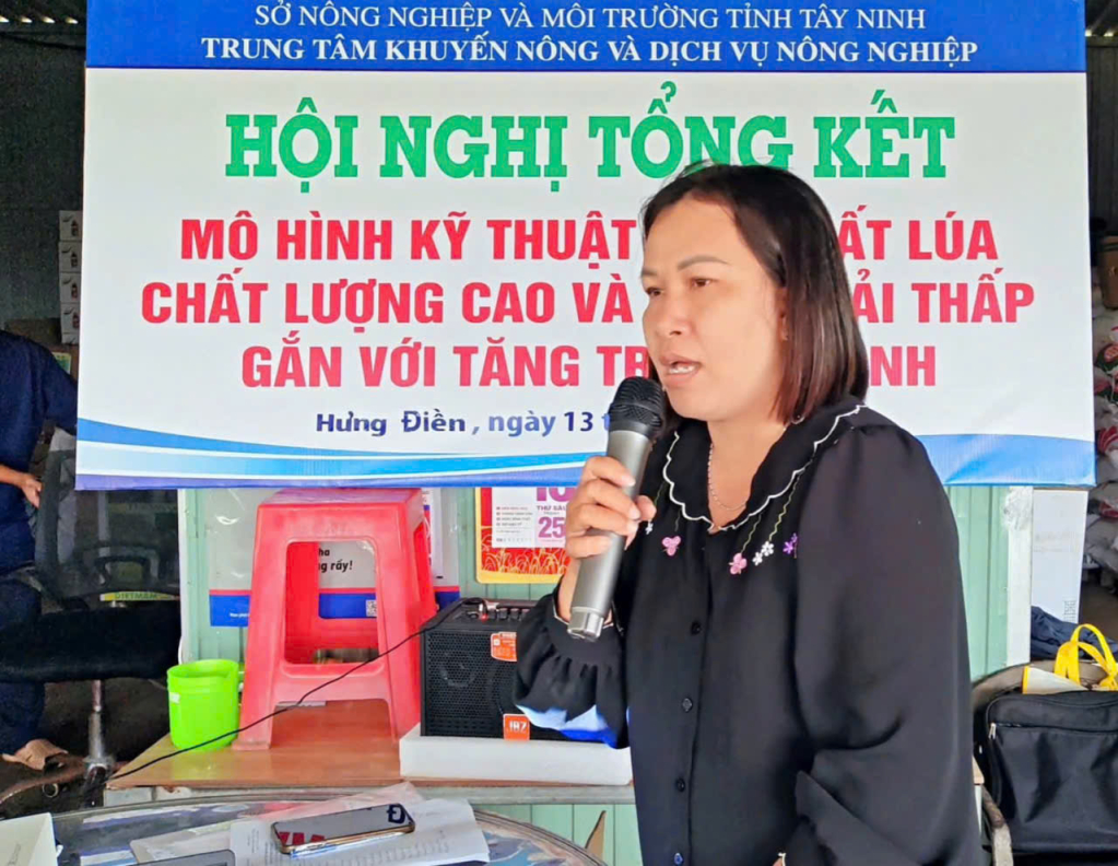 Canh t&aacute;c l&uacute;a theo m&ocirc; h&igrave;nh mới, n&ocirc;ng d&acirc;n tăng lợi nhuận